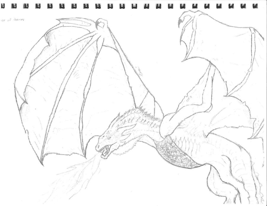 Dragons+Wrath%3A+Student+Artwork+Quarter+4